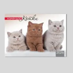 Дванадесет листов календар 2027 – Котки